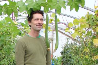 Jonathan Davies inside his greenhouse at Long Road Eco Farm. Photo/Craig Bakay